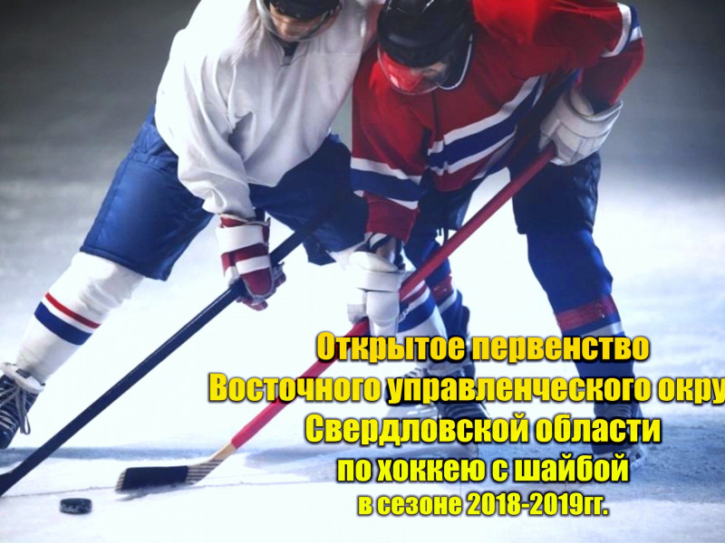 В Ирбите прошел матч 5 тура открытого первенства Восточного управленческого округа Свердловской области по хоккею с шайбой