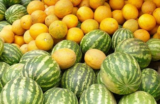 Сезон арбузов и дынь: 5 советов, как избежать отравления