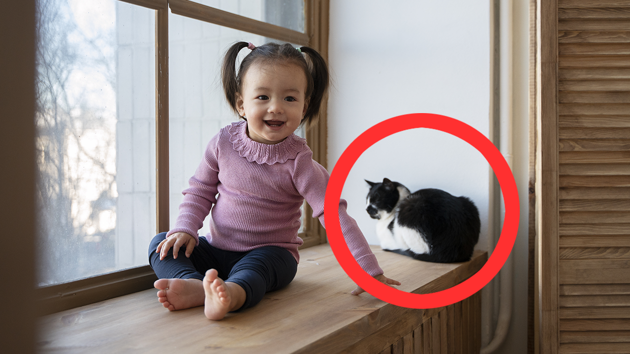 как подружить любимого питомца и новорожденного