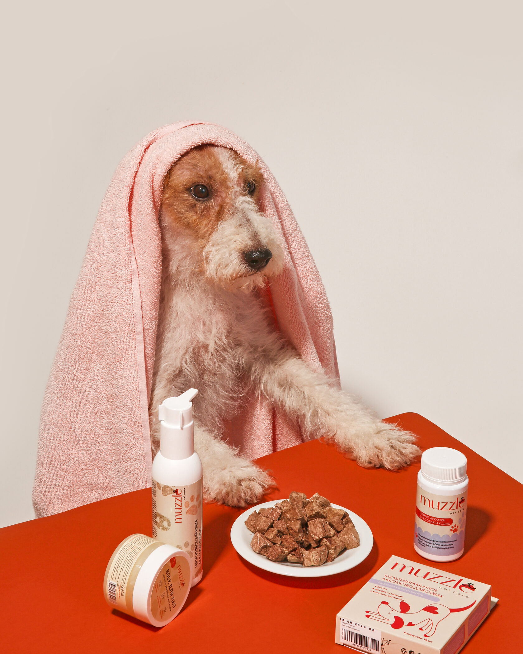 здоровье семьи при кожных болезнях у питомцев