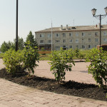 Строительство парка отдыха на поселке Пионерский