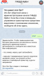 Госавтоинспекция Ирбита запустила телеграм бота, в котором можно сообщить о нетрезвом водителе