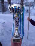 Юные ирбитские хоккеисты стали серебряными призерами областного этапа соревнований «Золотая шайба»