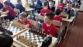 Воспитанники шахматного клуба «Гамбит» достойно выступили на турнире по быстрым шахматам в селе Харловское