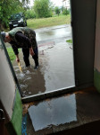 На Пионерском подъезд дома заливает дождевой водой