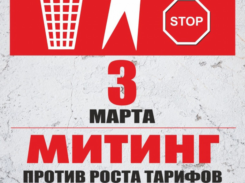 Митинг против роста тарифов на вывоз мусора Ирбит 3 марта