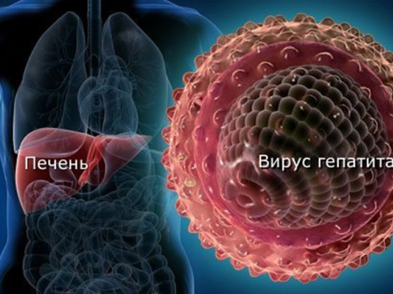 Меры профилактики острых и хронических гепатитов В и С